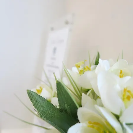 Quattro Cantoni Gasthuis