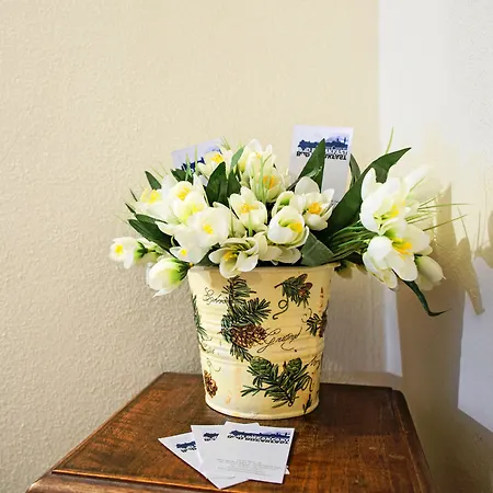 Quattro Cantoni Gæstehus